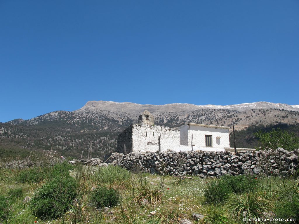 Photo report: Around Sfakia, Crete Spring 2013